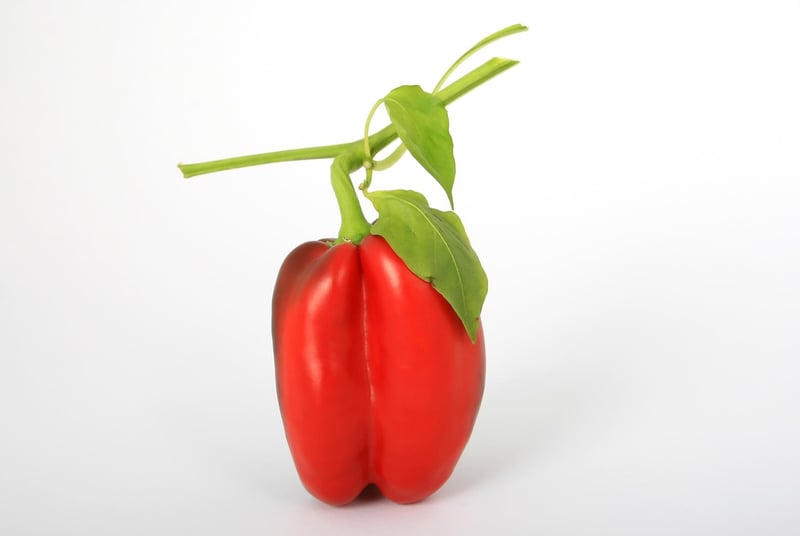 Quinoa Stuffed Bell Peppers